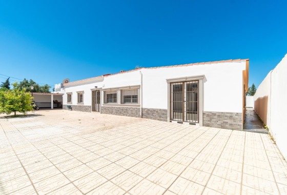 Sprzedaż - Willa wolnostojąca -
Torrevieja - Torreta florida