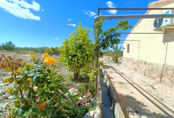 Venta - Chalet Independiente -
Abanilla