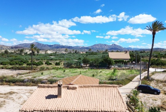 Venta - Chalet Independiente -
Abanilla