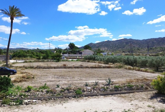 Venta - Chalet Independiente -
Abanilla