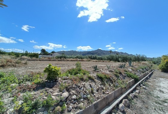 Venta - Chalet Independiente -
Abanilla