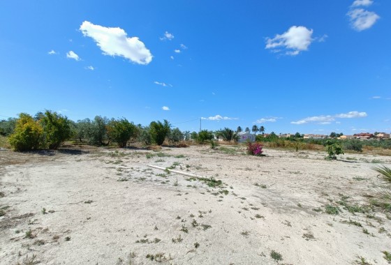 Venta - Chalet Independiente -
Abanilla