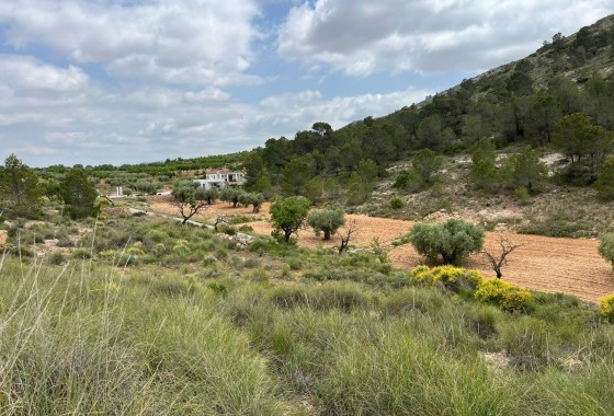 Revente - Parcelle Terrain -
Hondón de las Nieves