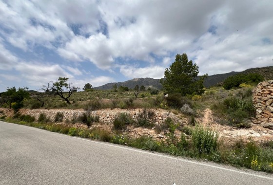 Revente - Parcelle Terrain -
Hondón de las Nieves