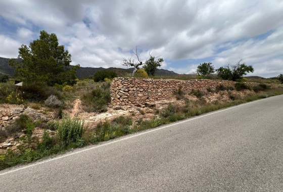Revente - Parcelle Terrain -
Hondón de las Nieves