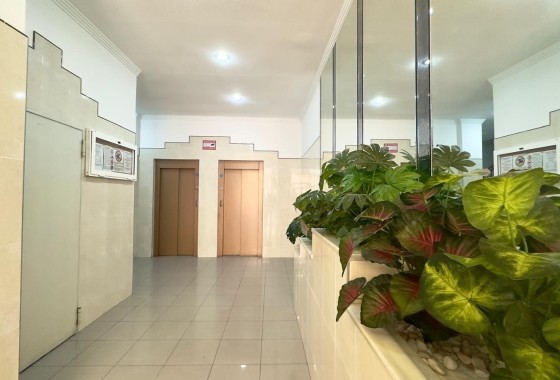 Revente - Appartement -
Torrevieja - Center