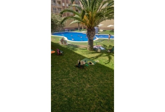 Revente - Appartement -
Torrevieja - Center