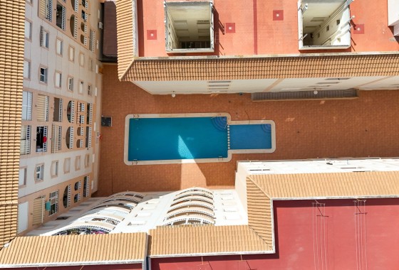 Sprzedaż - Apartament / Mieszkanie -
Torrevieja - Costa Blanca
