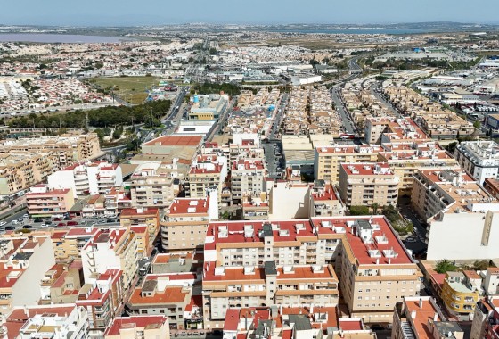 Sprzedaż - Apartament / Mieszkanie -
Torrevieja - Costa Blanca