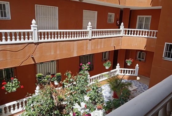 Sprzedaż - Apartament / Mieszkanie -
Torrevieja - El molino