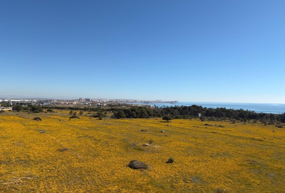 Revente - Appartement -
Torrevieja - Punta Prima