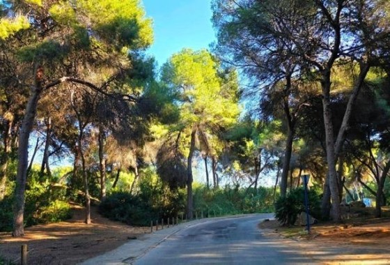 Sprzedaż - Willa wolnostojąca -
Dehesa de Campoamor - Campoamor