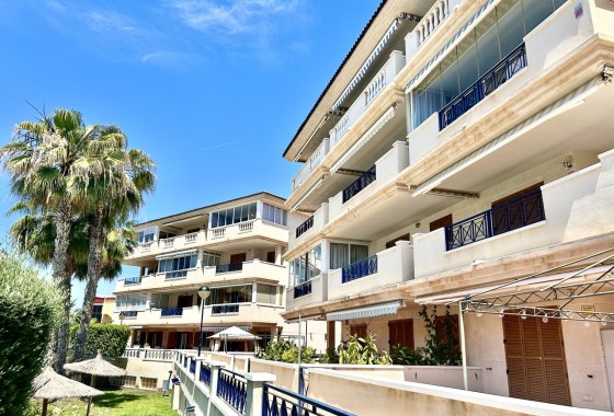 Sprzedaż - Apartament / Mieszkanie -
La Mata - Costa Blanca