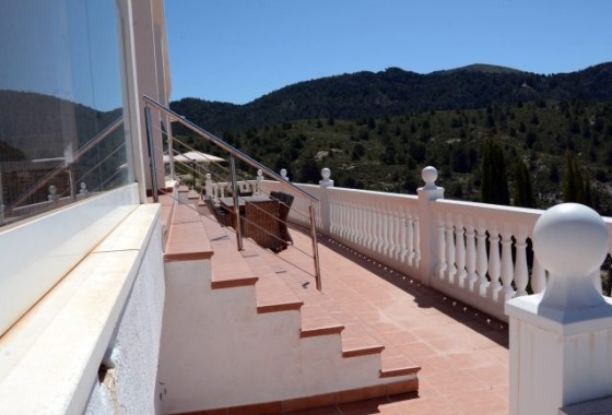 Venta - Chalet Independiente -
Petrer
