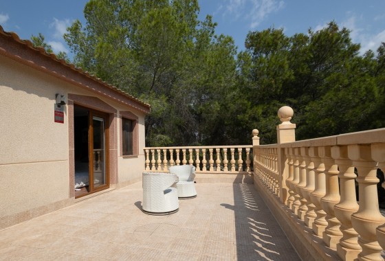 Resale - Finca - Country Property -
Torremendo