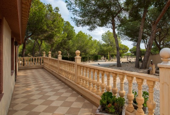 Resale - Finca - Country Property -
Torremendo