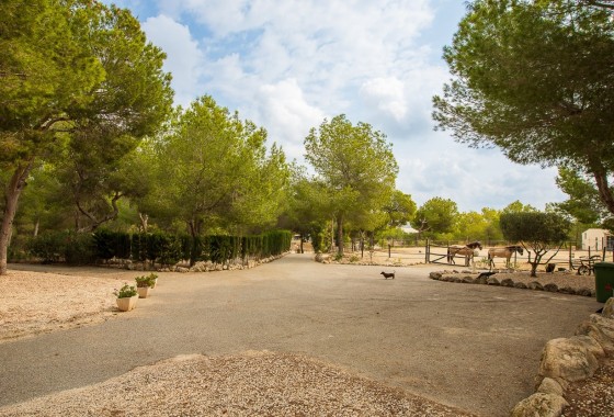 Resale - Finca - Country Property -
Torremendo