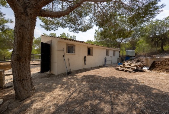 Resale - Finca - Country Property -
Torremendo