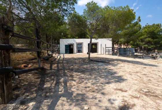 Resale - Finca - Country Property -
Torremendo
