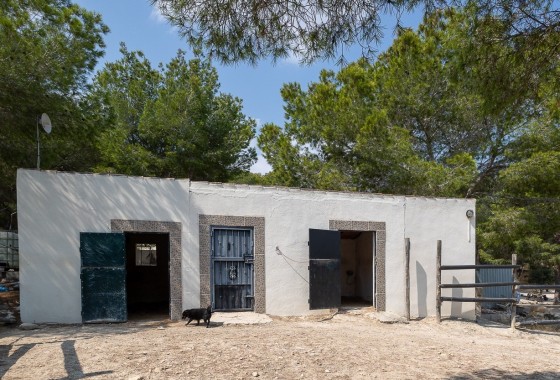 Resale - Finca - Country Property -
Torremendo