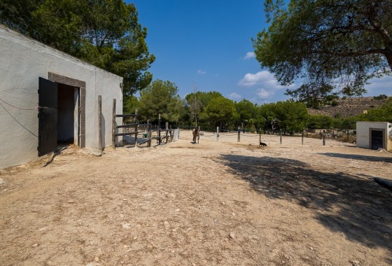 Resale - Finca - Country Property -
Torremendo