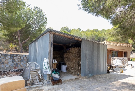 Resale - Finca - Country Property -
Torremendo
