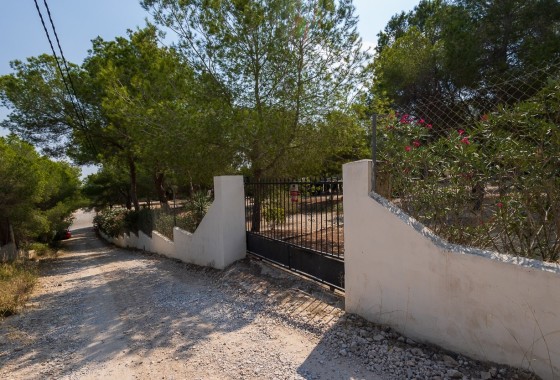 Resale - Finca - Country Property -
Torremendo