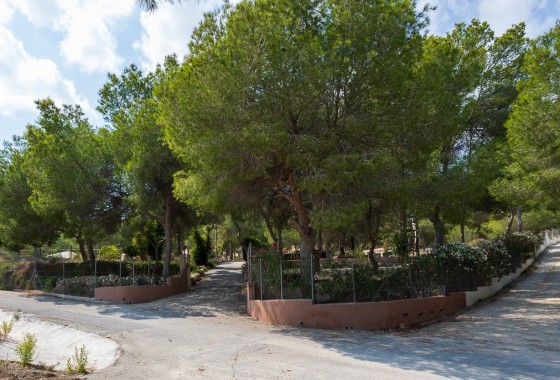 Resale - Finca - Country Property -
Torremendo