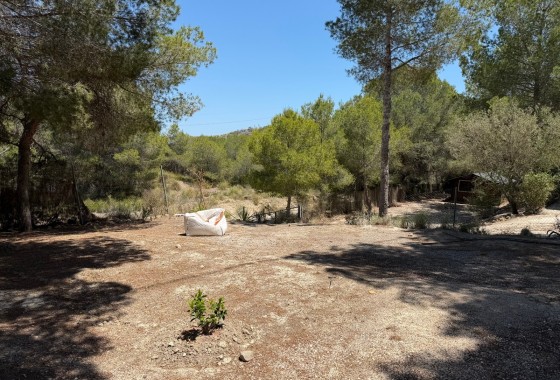 Revente - Finca Propriété rurale -
Orihuela - Torremendo