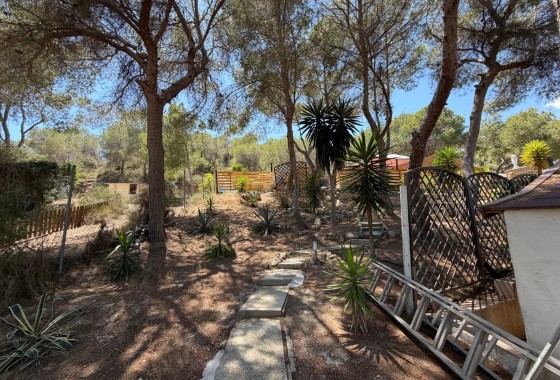 Revente - Finca Propriété rurale -
Orihuela - Torremendo