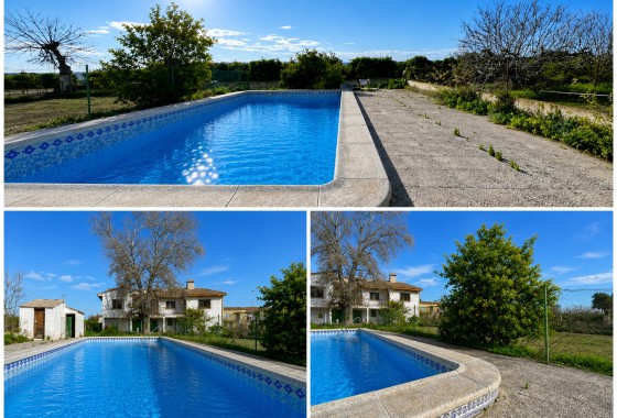 Wiederverkauf - Freistehende Villa -
Benejúzar - Comunidad Valenciana