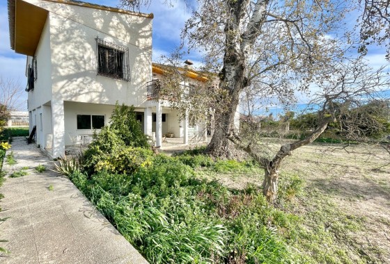 Wiederverkauf - Freistehende Villa -
Benejúzar - Comunidad Valenciana