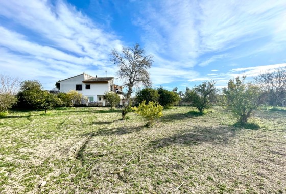 Wiederverkauf - Freistehende Villa -
Benejúzar - Comunidad Valenciana