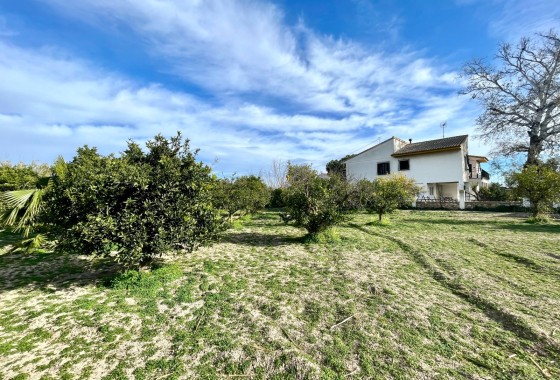 Wiederverkauf - Freistehende Villa -
Benejúzar - Comunidad Valenciana