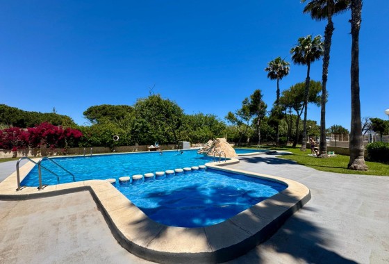 Sprzedaż - Apartament / Mieszkanie -
Torrevieja - Gaspar Perrelló