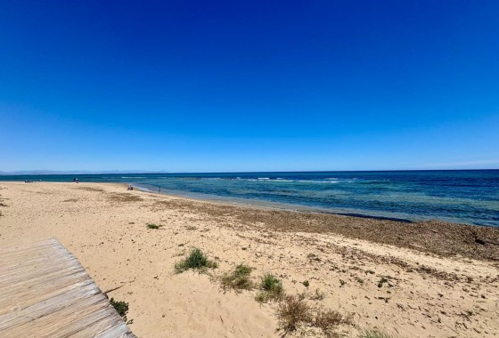 Sprzedaż - Apartament / Mieszkanie -
Torrevieja - Gaspar Perrelló