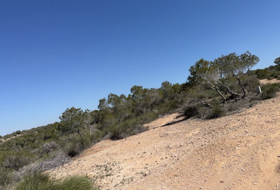 Revente -  -
San Fulgencio - La Marina