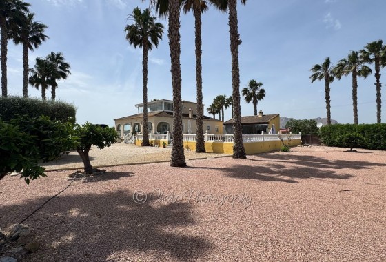 Herverkoop - Vrijstaande villa -
Benejúzar