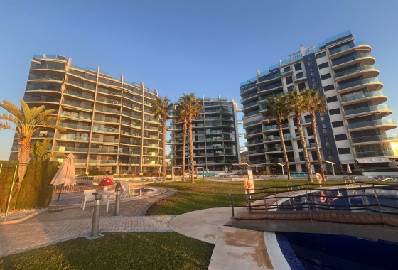 Revente - Appartement -
Punta Prima - Costa Blanca