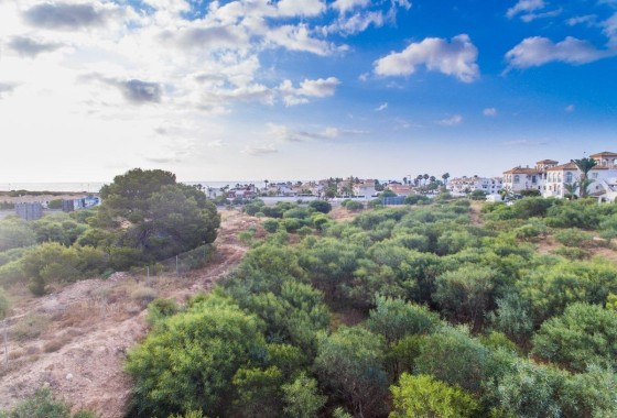 Nowa konstrukcja - Apartament / Mieszkanie -
Orihuela Costa - Playa Flamenca