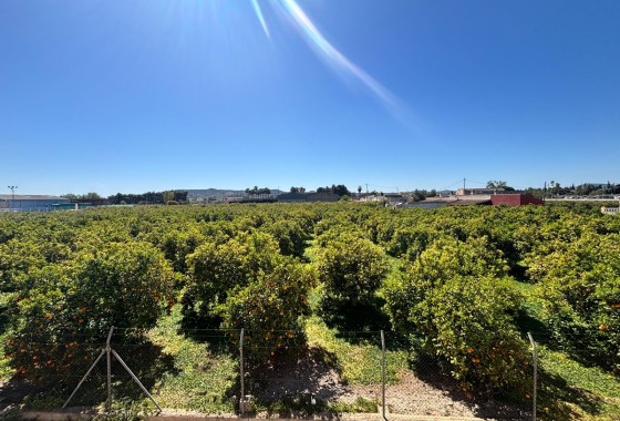 Resale - Wohnung / Apartment -
Benejúzar