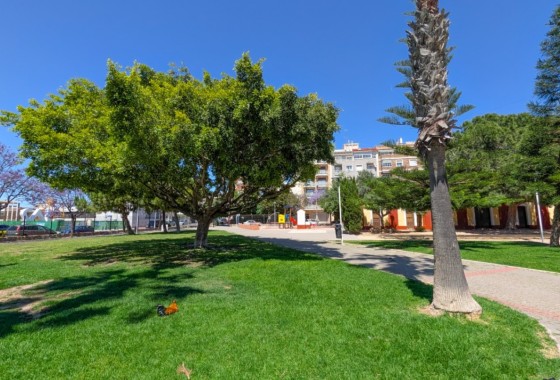 Sale - Apartment Flat -
Torrevieja - Acequion