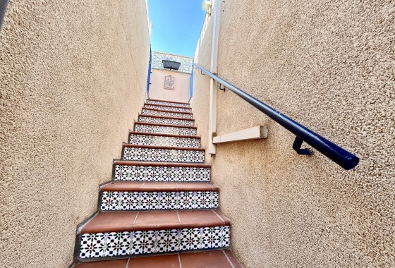 Sprzedaż - Apartament / Mieszkanie -
Torrevieja - Costa Blanca