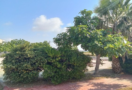 Revente - Appartement -
Torrevieja - Torretas