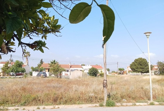 Revente - Appartement -
Torrevieja - Torretas