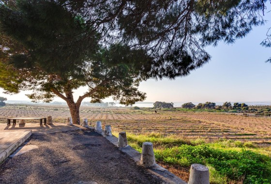 Resale - Wohnung / Apartment -
Torrevieja - La Siesta - El Salado - Torreta