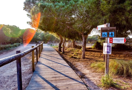 Resale - Wohnung / Apartment -
Torrevieja - La Siesta - El Salado - Torreta