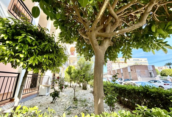 Resale - Apartment / Flat -
Torrevieja - Costa Blanca