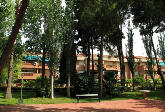 Resale - Apartment / Flat -
Lo Pagan - 1Âª Linea De Playa