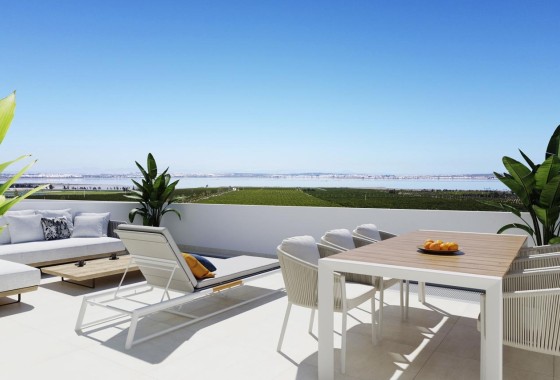 Obra Nueva - Apartamento / Piso -
Torrevieja